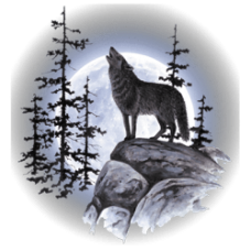 vlk  s měsícem MY429